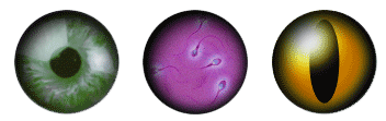 teaser_augen
